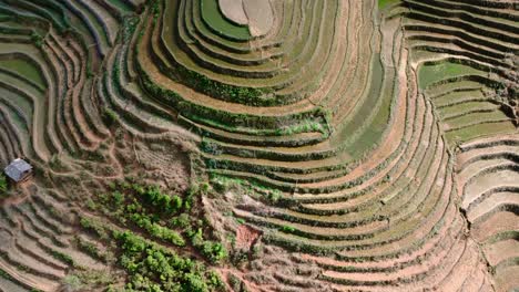 los impresionantes patrones de las terrazas talladas en las laderas de las colinas