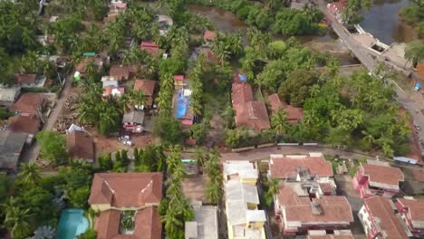 drone shot flying over coconut trees heading towards the landscape in goa, india
