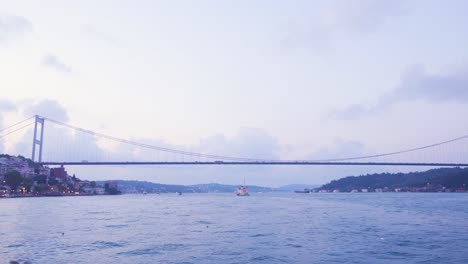 cars and seagulls passing over the bridge in the bosphorus.