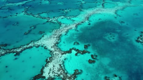 drone view of a lagoon, corals and a small green tropical pacific island with blue shallow water on a sunny day in maupiti, french polynesia.