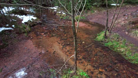 flowing stream through a forest path in a snowy, winter forest on a cold morning