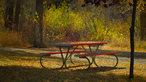 mesa de picnic con hojas de otoño que caen. movimiento lento