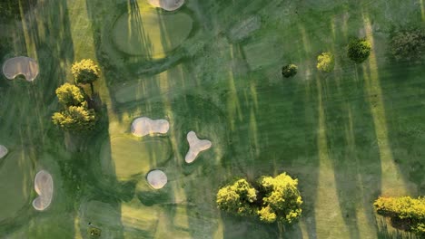 aerial top down lowering on a professional golf course green field with trees and sand bunkers at sunset