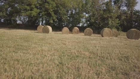 drone 4k movimento panorâmico em um campo de fardos de feno com árvores ao fundo