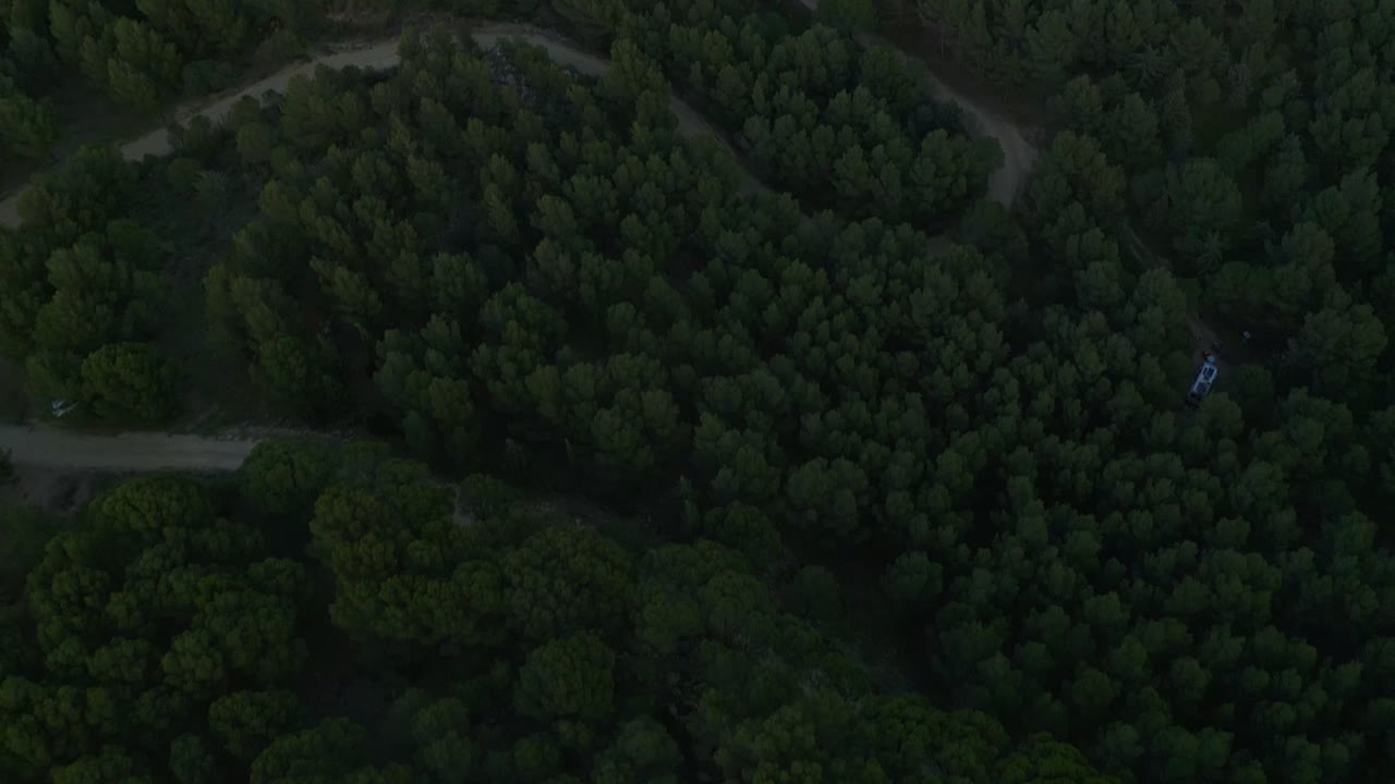 시골의 저수지 근처의 숲