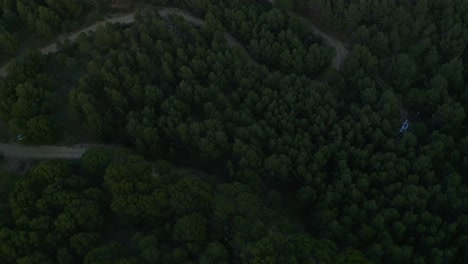 forest near water reservoir in countryside