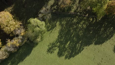 Autumn-Trees-Birds-Eye-View-Field-England-Herefordshire-Aerial-Overhead