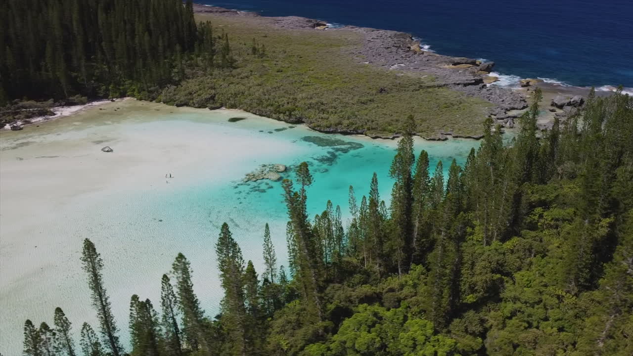 toma aérea circular con pinos columnares que revelan la piscina natural de oro, isla de pinos
