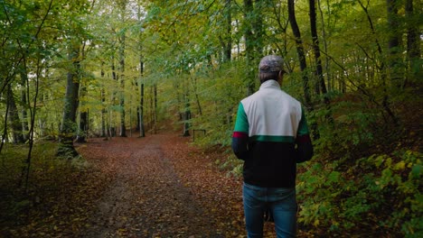 Tall-Guy-With-Cap-and-Jacket-Off-Walks-In-Gyllebo-Forest-and-Explores,-Österlen-Sweden---Tracking-Medium-Wide-Shot-From-Behind