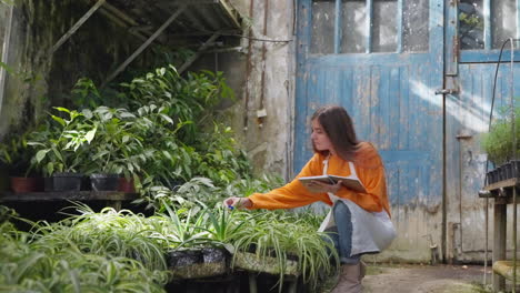 woman examining plants in greenhouse