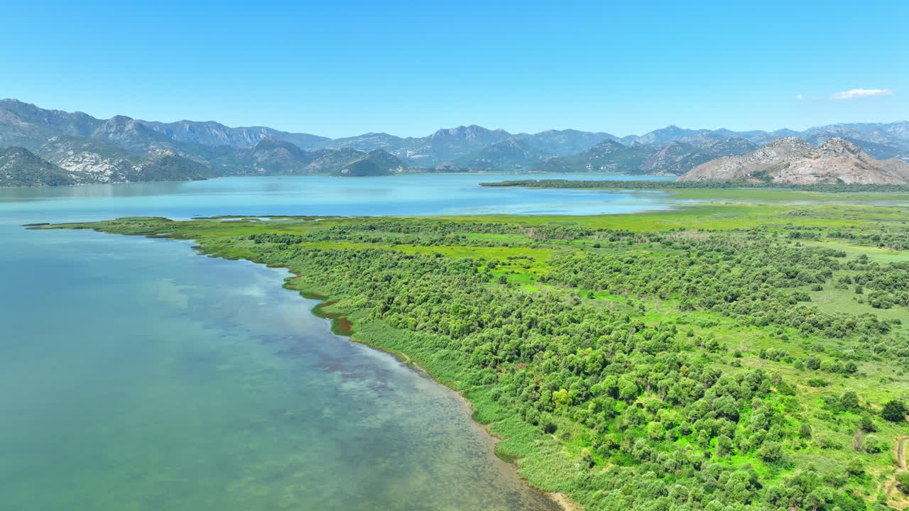 Drone shot tracking over nature of the lake Skadar national park, Montenegro