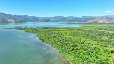 drone shot tracking over nature of the lake skadar national park, montenegro