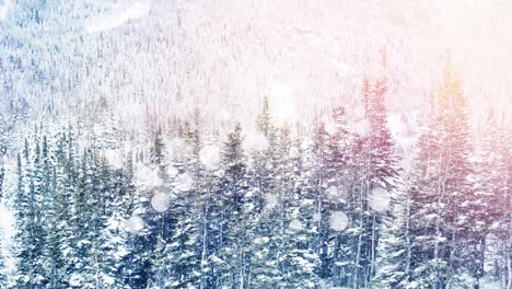 nieve cayendo en el campo