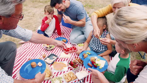 slow motion shot of multi generation family enjoying picnic in countryside