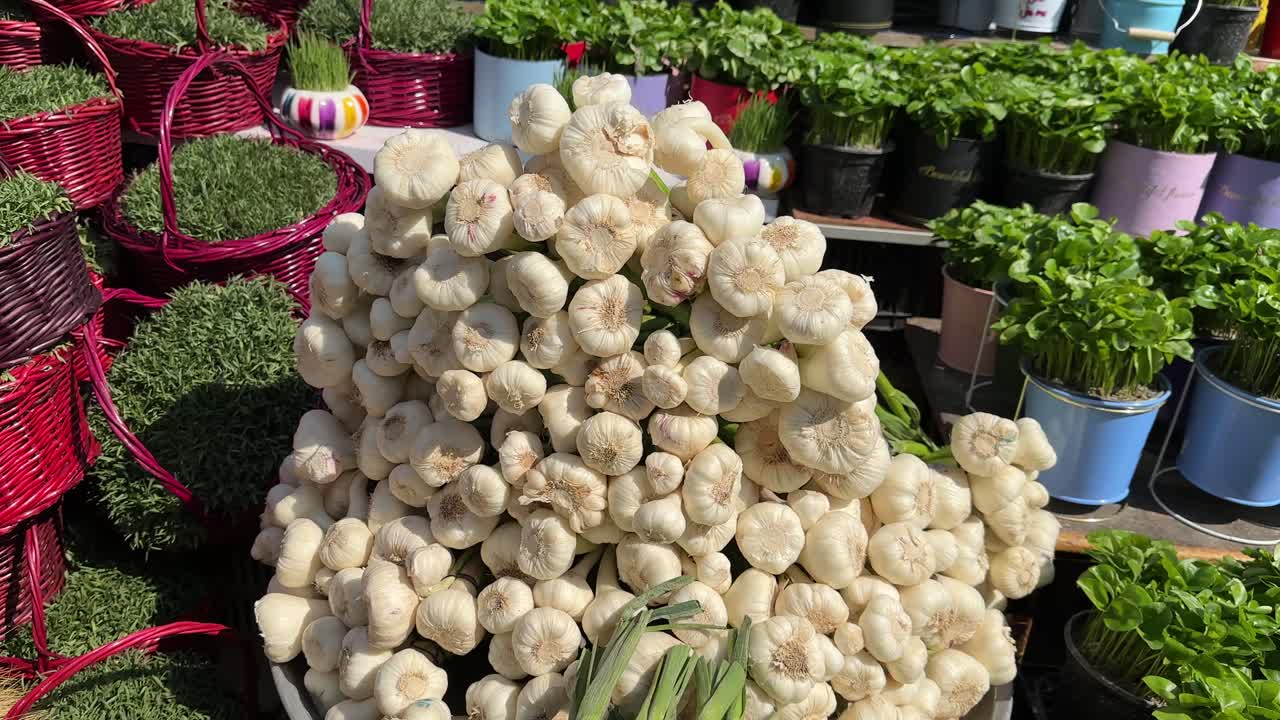 Tehran Tajrish farmer market local people Bazaar Nowruz vibe white garlic fresh green basket Persian tradition organic vegetables fruits shopping market lifestyle healthy delicious grocery celebration