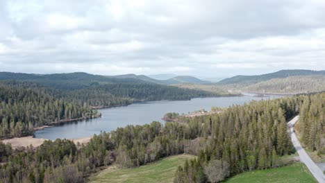 flight towards serene lake surrounded by densely forest valley