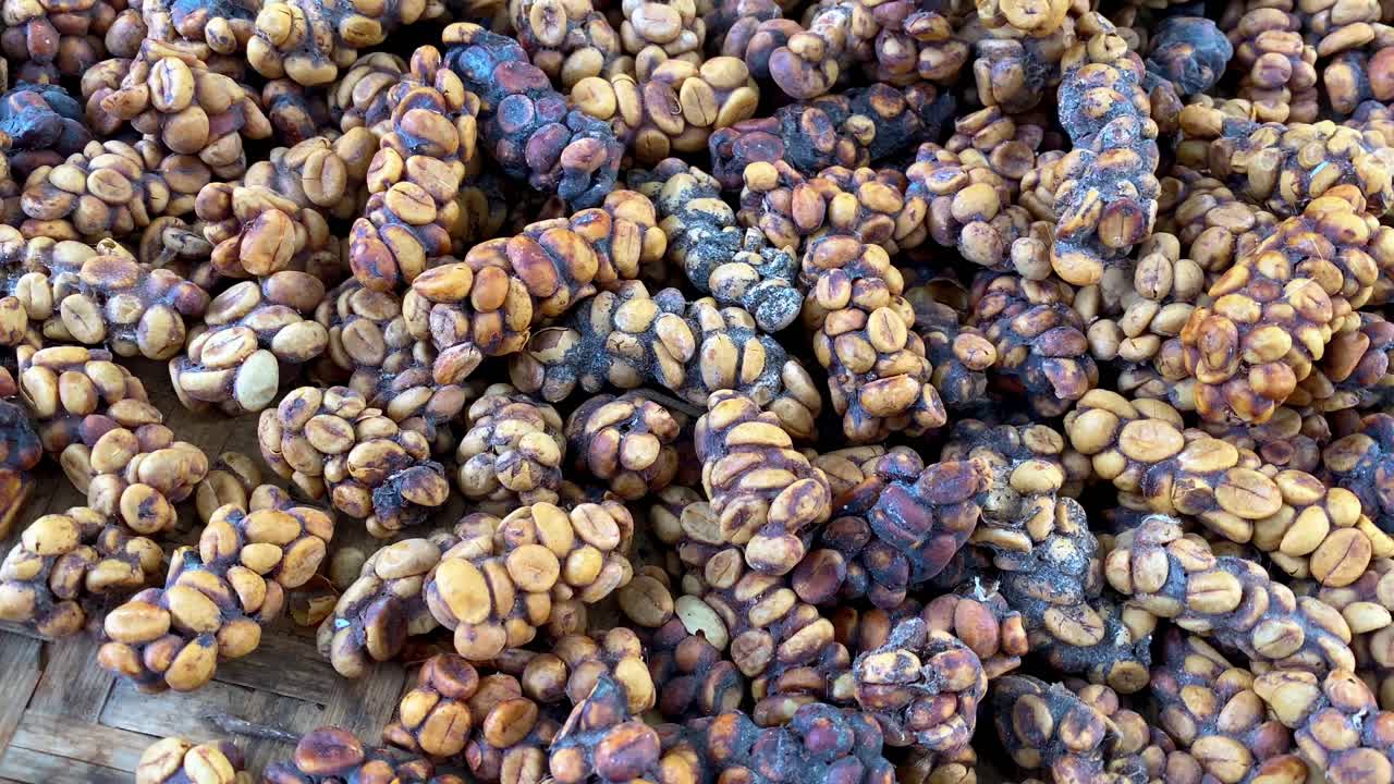 cargas de cerezas de café luwak yaciendo en la canasta