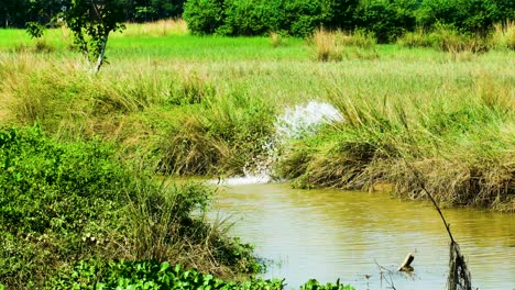 water irrigation leak flowing into a river in the countryside