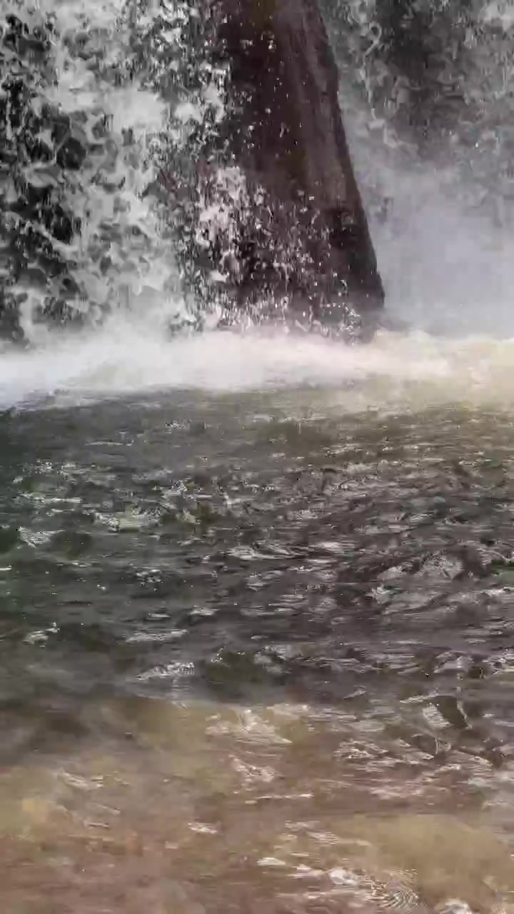 Piccola cascata che si getta in un ruscello roccioso
