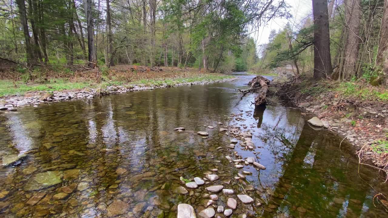un hermoso arroyo en las montañas catskill durante la primavera en el valle hudson del estado de nueva york
