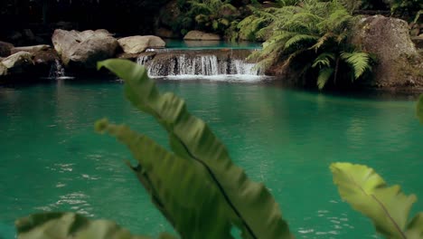 movimiento ambiental de serena cascada tropical suavemente en cascada y fluyendo, rodeado de exuberante vegetación y rocas