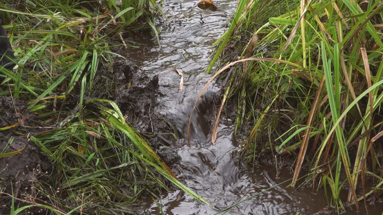 limpieza de zanjas a mano y pala