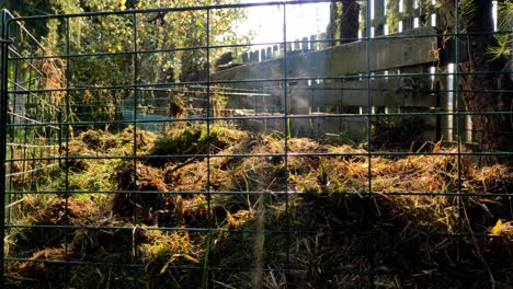 toma estática de compost humeante en el campo en una mañana soleada