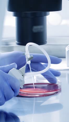 microscopic cell manipulation in a laboratory setting