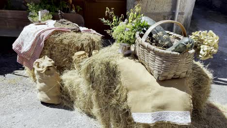 handheld pan across farmware vegetables on hay bales at ethnographic festival in lonoa