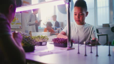 elementary school science class: growing microgreens and plants