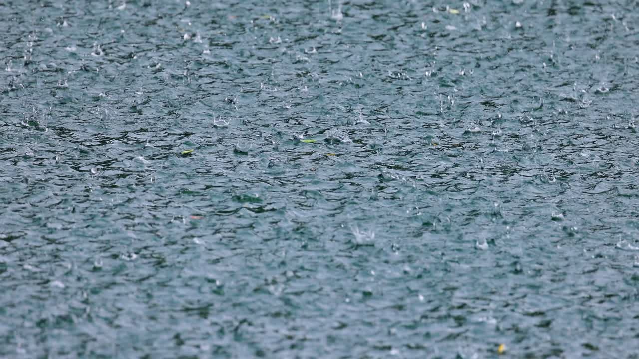 물 표면에 비가 내리는