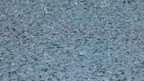 rain on a water surface