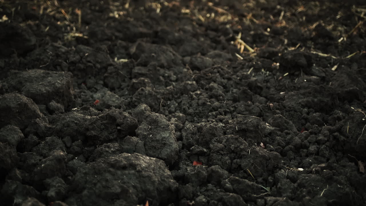 Plowed soil ready for winter