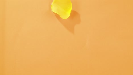 yellow object on orange background