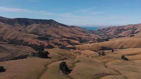 Vuelo-Panorámico-De-Drones-Sobre-La-Ladera-Cubierta-De-Hierba-En-El-Campo,-Campos-Y-Pastos-De-Nueva-Zelanda-En-Un-Día-Soleado-De-Verano-En-4k