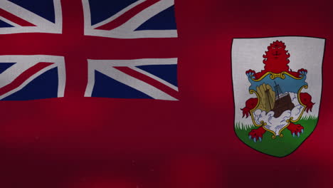 the bermuda national waving flag