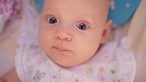 cute three months baby girl with big blue eyes