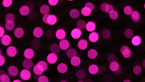 pink light bulb. shift focus concept.
