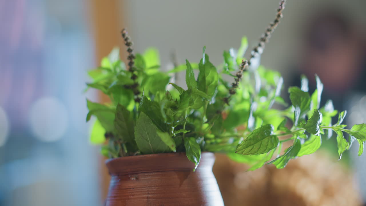 Stylist di cucina che sistema un centrotavola con vaso di menta, vaso di argilla sul bancone con sfondo bokeh sfocato, luce calma del mattino, fogliame decorativo per un set da cucina casalinga, composizione estetica da tavolo