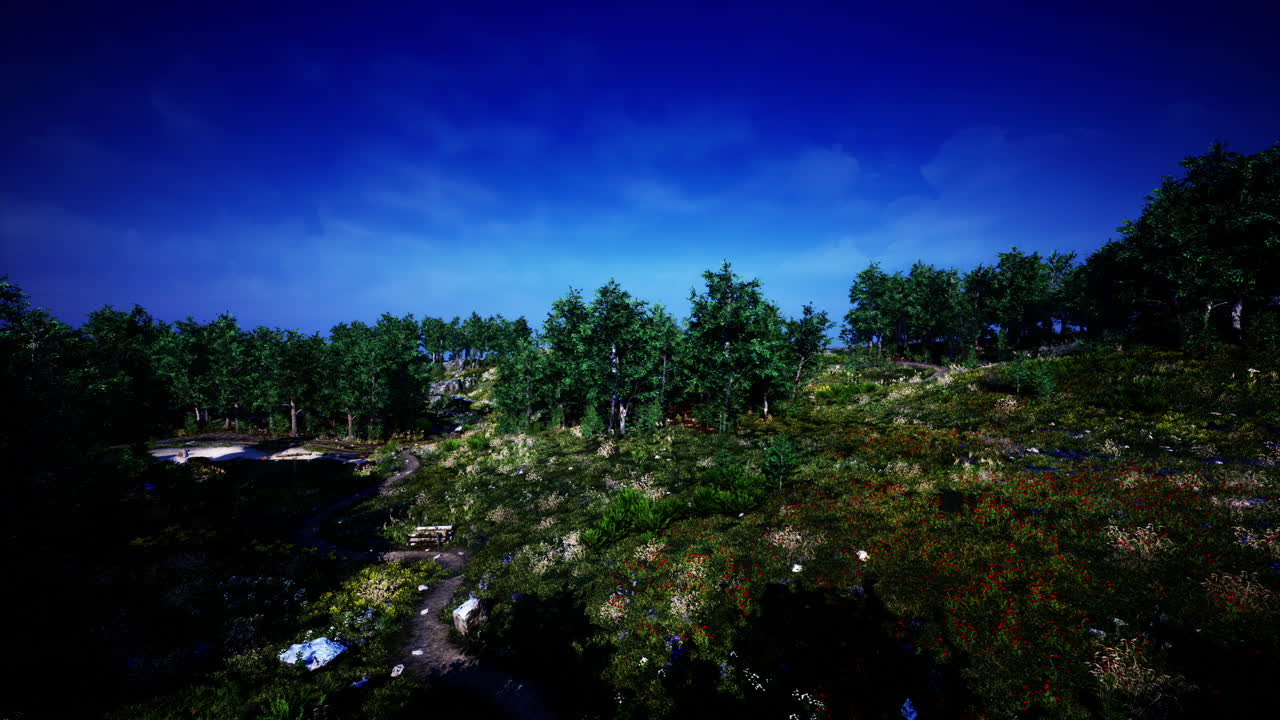 산 속 의 나무 숲