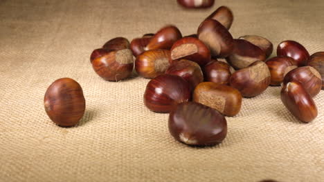 chestnuts falling on jute background