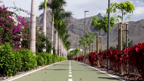 beautiful pathway surrounded by palm trees and flowers at costa adeje, tenerife