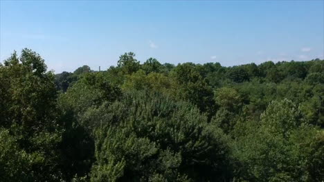 Drone descending over trees and a pond with a parking lot in the distance