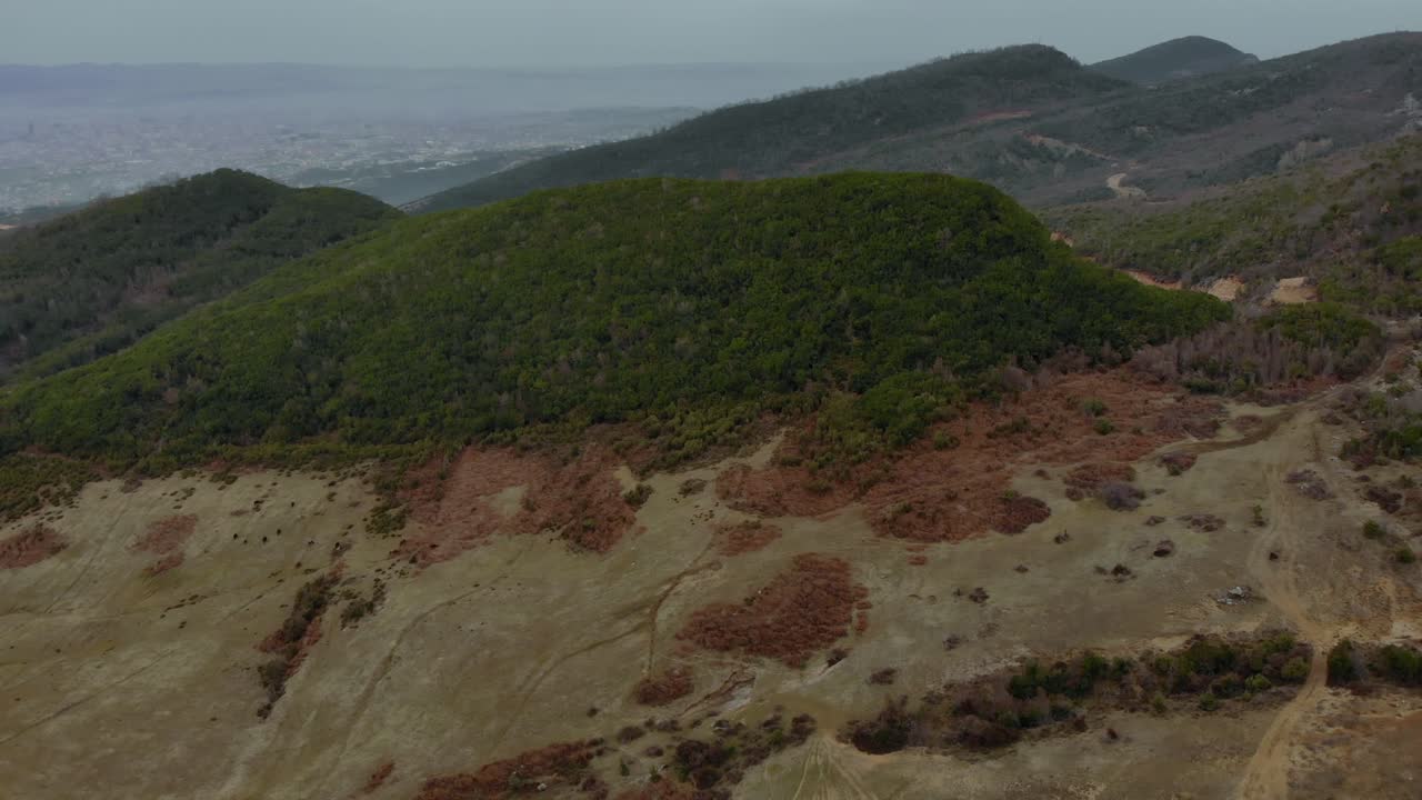 horizonte de colinas verdes con fondo de ciudad borroso, rodeado de pasto marrón con hierba seca y arbustos