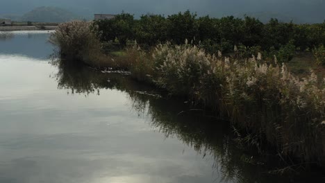 Un-Hermoso-Dron-Disparó-Sobre-El-Río