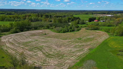 campo verde con fuertes rastros de máquinas industriales, sitio de construcción