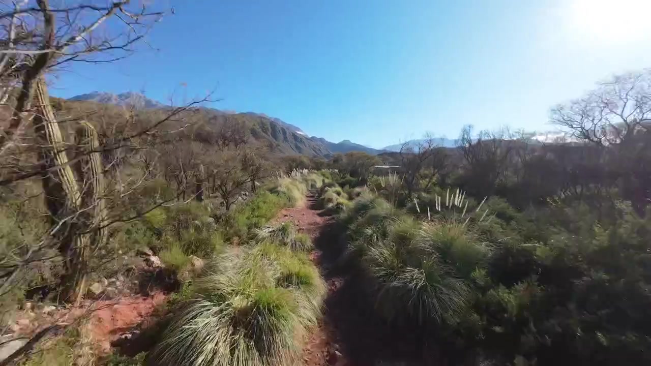Arjantin FPV Drone Cuesta de Miranda Dağ Manzarası Dolly In Havadan La Rioja Çöl Vadisi.