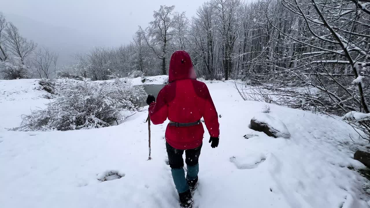 Forest mountain landscape of hiking a female wear red jacket climb trekking in Hyrcanian natural attraction Iran Gilan winter adventure frozen lake in countryside scenic viewpoint of peaceful nature