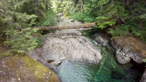 looking down at a green river on vancouver island