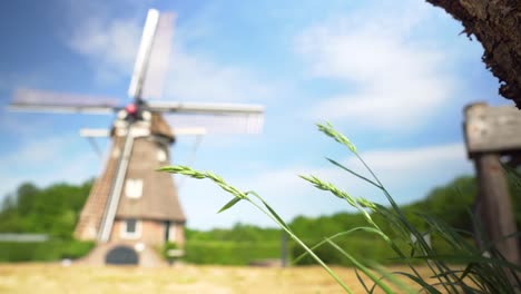 molino de viento holandés y campo de hierba